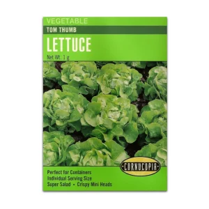 Lechuga Tom Thumb