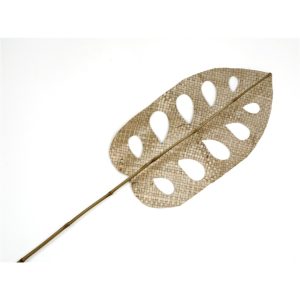 Hoja Palma mostera y bambú