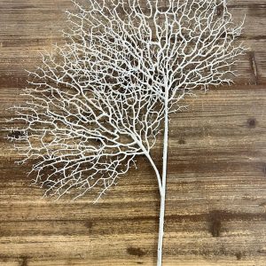 Coral blanco decoración pared