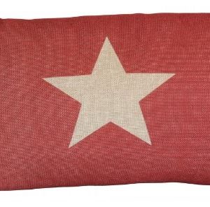 Cojín Estrella