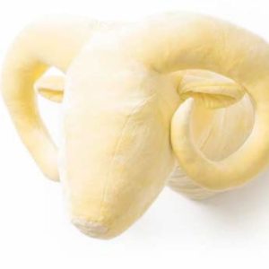 Cabeza Cabra Amarilla